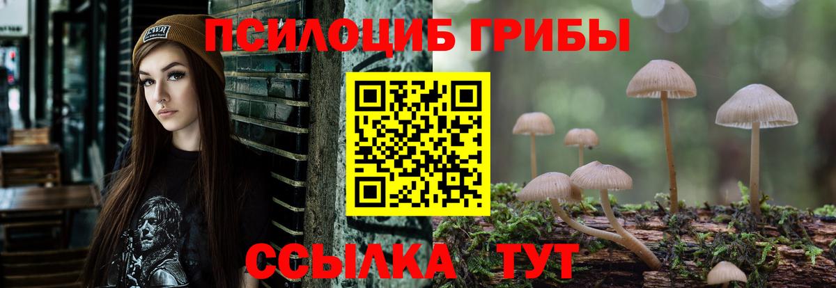 Галлюциногенные грибы мицелий Камень-на-Оби